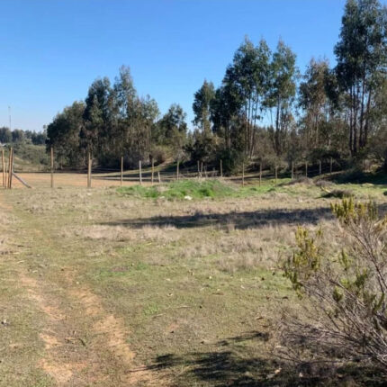 Venta de Terreno, Camino del Medio-Algarrobo