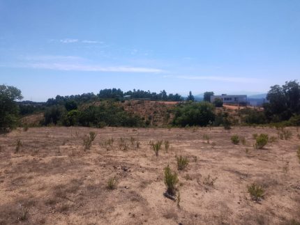 Venta De Maravillosa Parcela Ubicada En Sector Melosilla