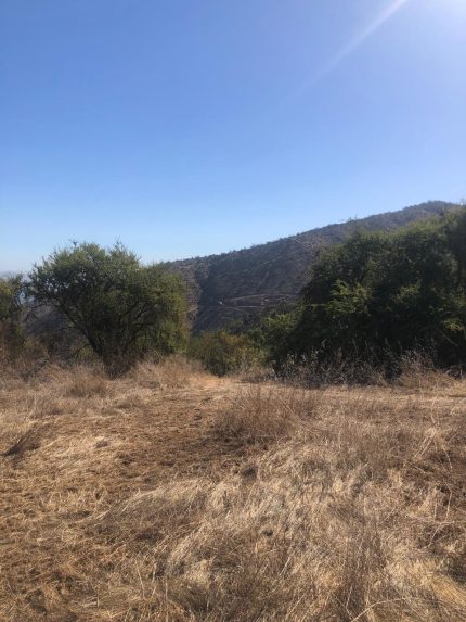 Venta De Terreno En Curacaví