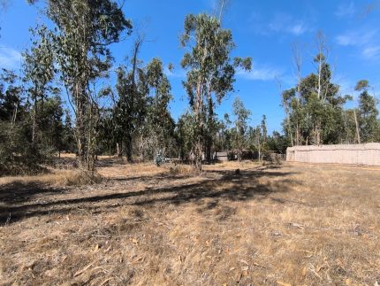 Venta De Parcela En San José, Algarrobo