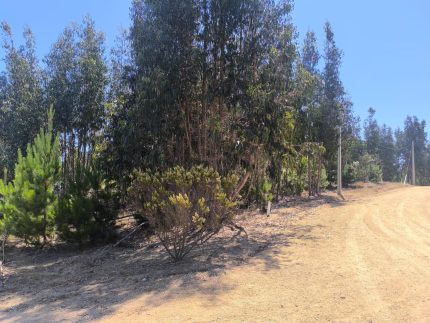 Venta De Parcela En Hacienda Loma Verde El Quisco