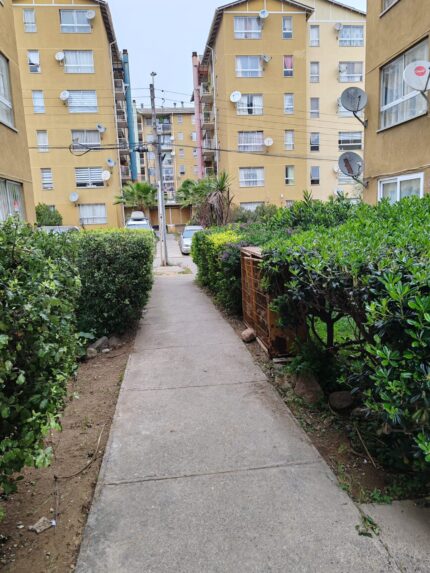 Venta De Departamento En Reñaca Alto