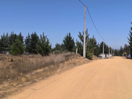 Venta De Parcela En El Quisco