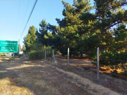 Venta De Parcela A Orilla De Camino En Ruta F-90