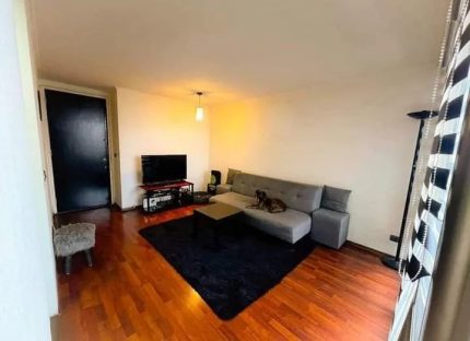 Venta De Departamento En Parque O Higgins, Santiago