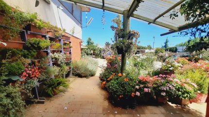 Venta De Propiedad Comercial En Casablanca