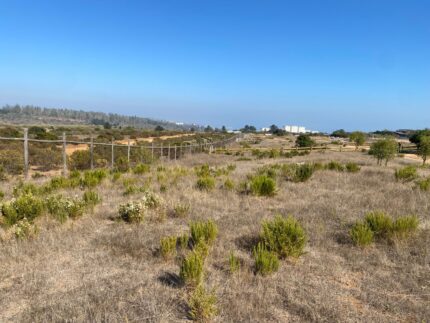 Venta De Parcela En Condominio San Gerónimo, Algarrobo